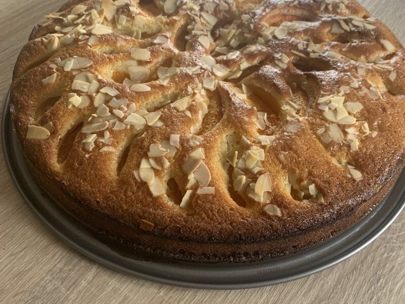 Gâteau moelleux aux abricots au Thermomix Cookomix