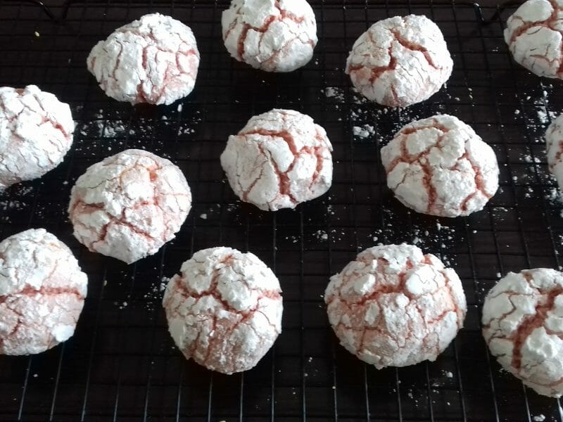 Craquelés aux biscuits roses de Reims au Thermomix Cookomix