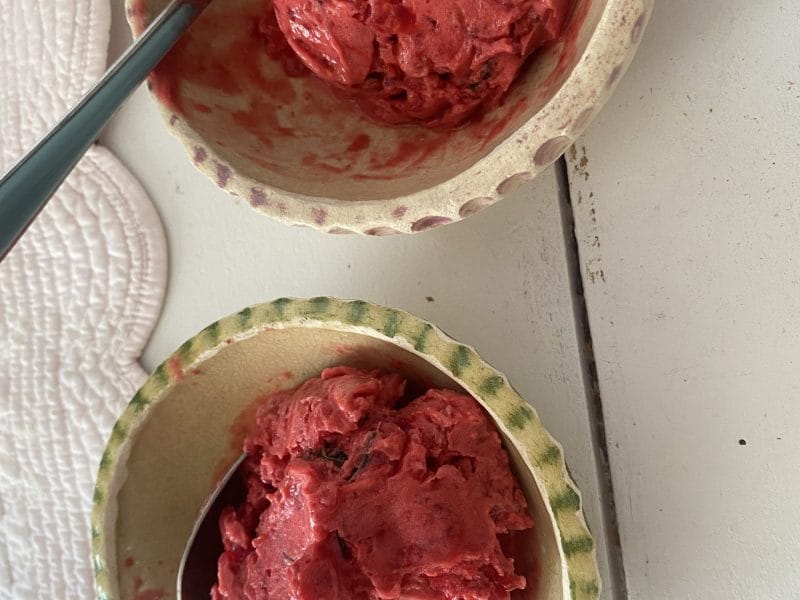 Sorbet Framboise Au Thermomix Cookomix