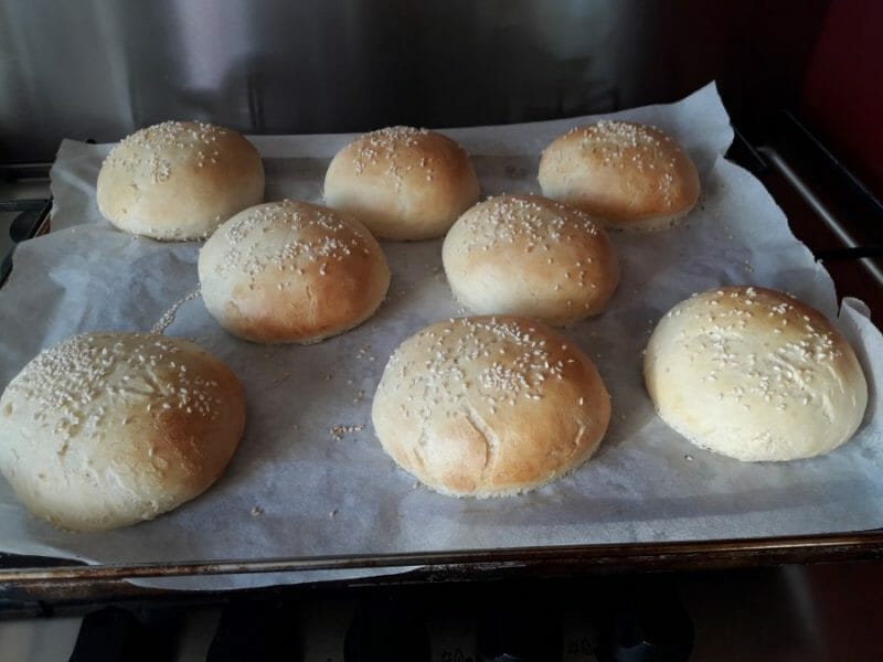 Pains Hamburger Au Thermomix Cookomix