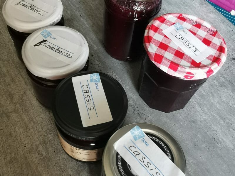 Confiture De Cassis Au Thermomix Cookomix