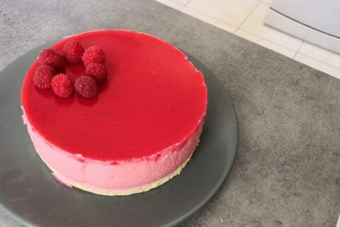 Bavarois Aux Framboises Au Thermomix Cookomix