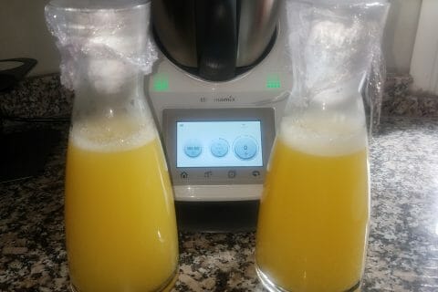 Jus De Pommes Au Thermomix Cookomix