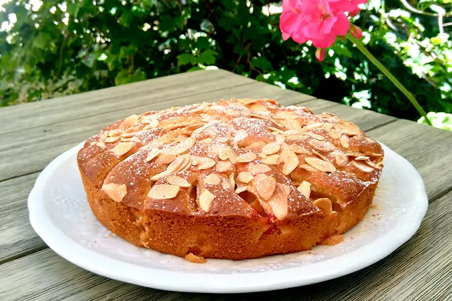 Gateau Moelleux Aux Abricots Au Thermomix Cookomix