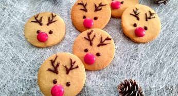 Sables De Noel Au Thermomix Cookomix