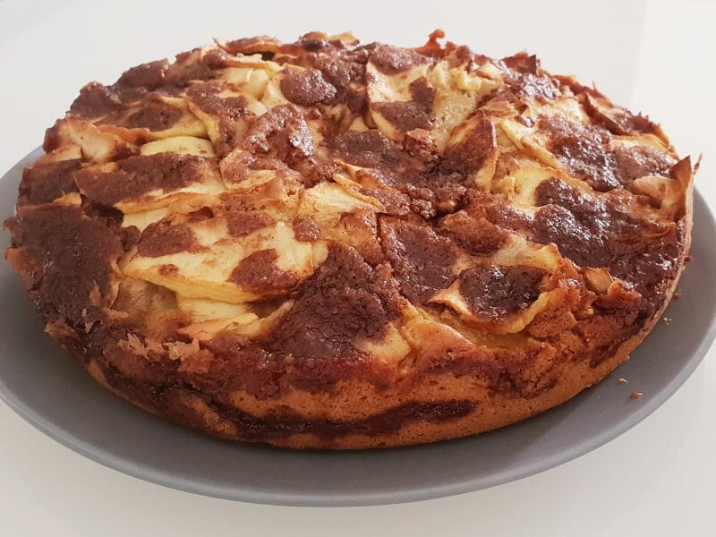 Cake Aux Pommes A L Ancienne Au Thermomix Cookomix