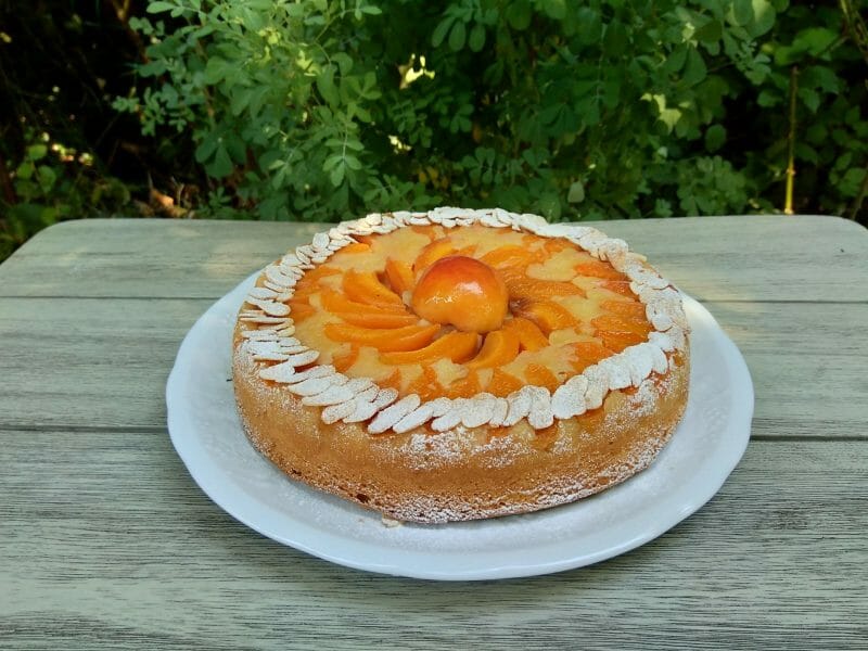 Gateau Moelleux Aux Abricots Au Thermomix Cookomix