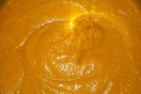 Puree De Butternut Au Thermomix Cookomix