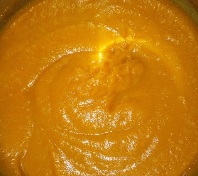 Puree De Butternut Au Thermomix Cookomix