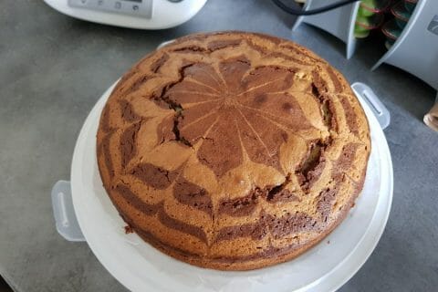 Gateau Zebre Au Thermomix Cookomix