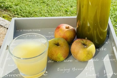 Jus De Pommes Au Thermomix Cookomix