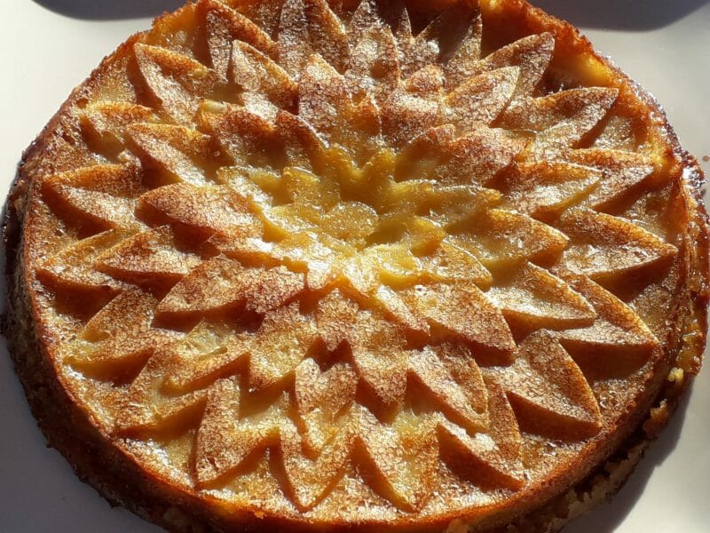 Moelleux Aux Pommes Au Thermomix Cookomix