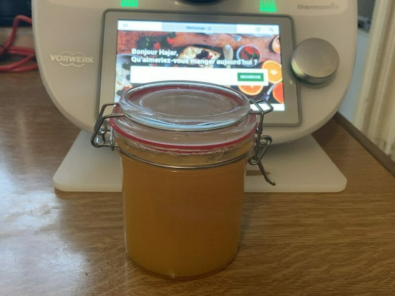 Nectar de mangue au Thermomix - Cookomix