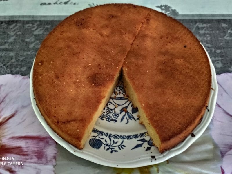 Gateau Ti Son Au Thermomix Cookomix