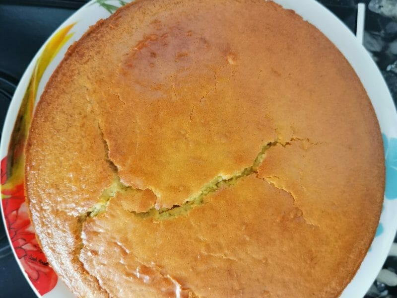 Gateau Ti Son Au Thermomix Cookomix