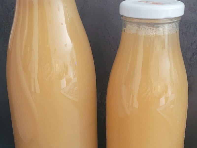 Jus de fruits ACE au Thermomix - Cookomix