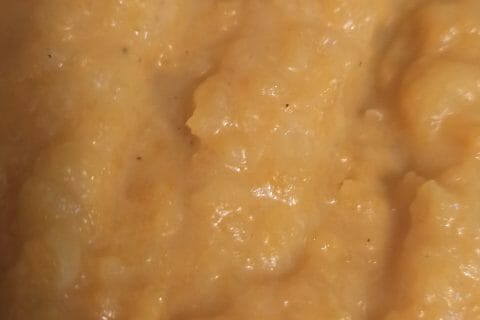 Puree De Butternut Au Thermomix Cookomix