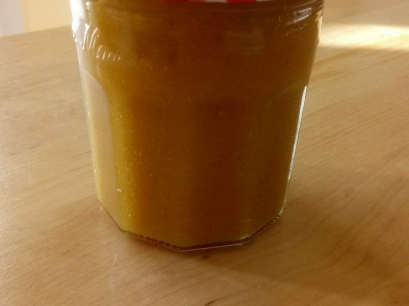 Nectar de mangue au Thermomix - Cookomix