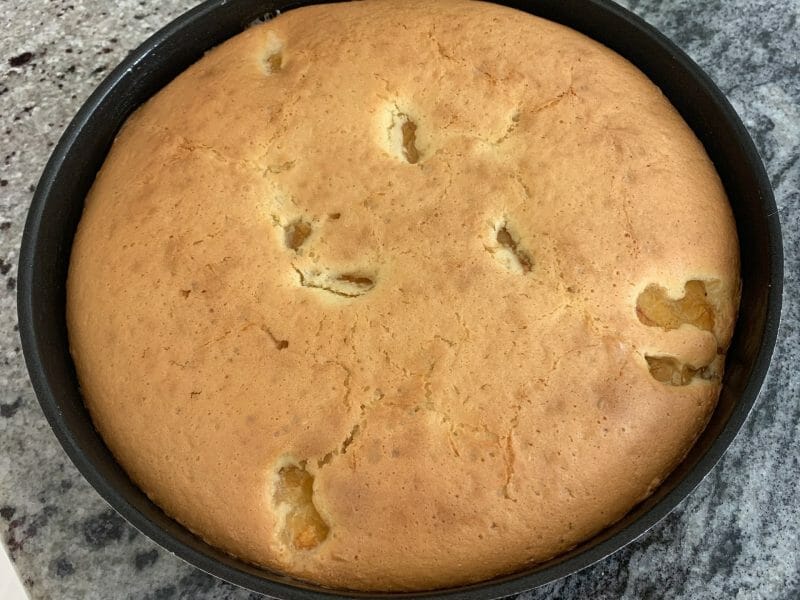 Gateau Lorrain Aux Mirabelles Au Thermomix Cookomix