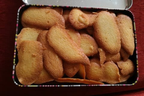 Langues De Chat Au Thermomix Cookomix