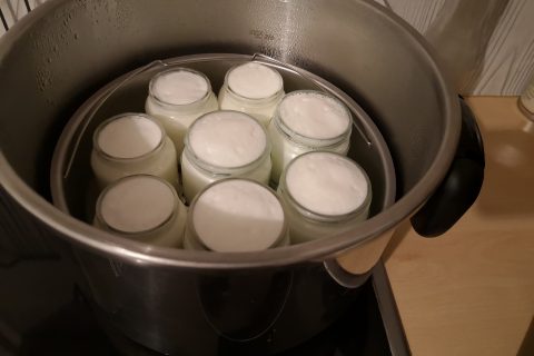 Glace au yaourt au Thermomix - Cookomix